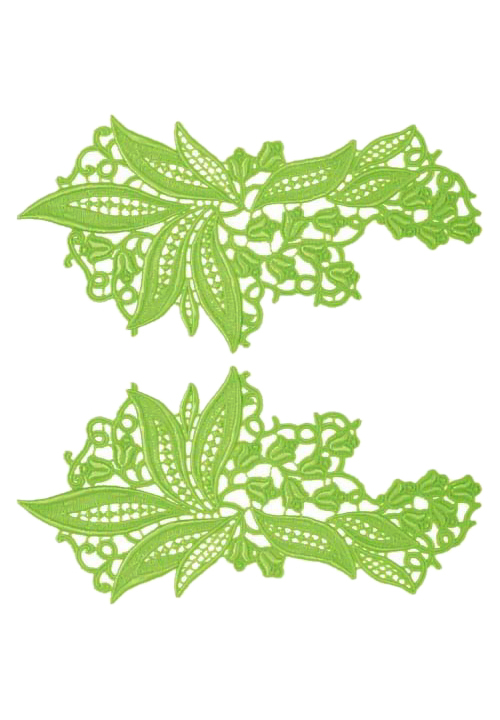 DSI Sylvia Lace Pair 1904